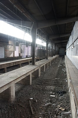 Image 1 of 37