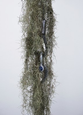 Image 9 of 14