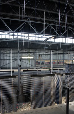 Image 19 of 37