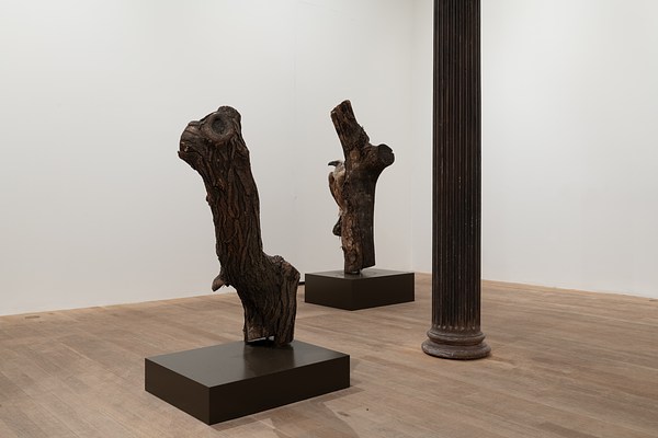 Image 11 of 14