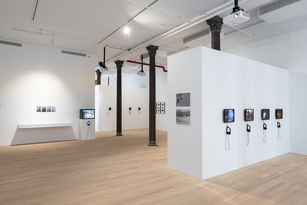 Image 6 of 13