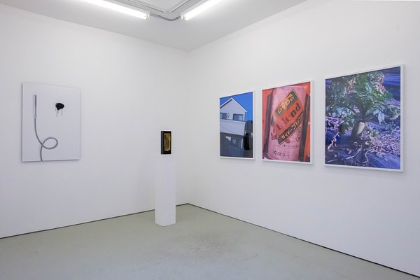 Image 11 of 11
