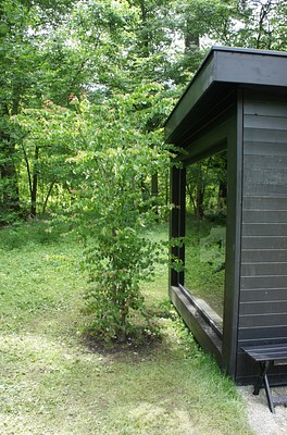 Image 5 of 41