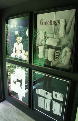 Image 11 of 41