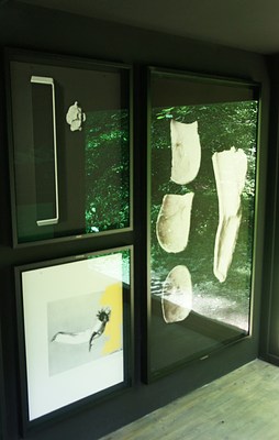 Image 14 of 41