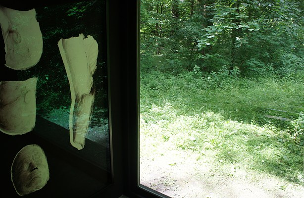 Image 16 of 41