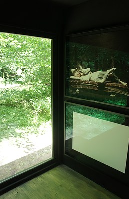 Image 17 of 41