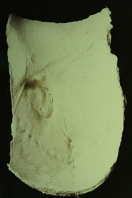 Image 33 of 41