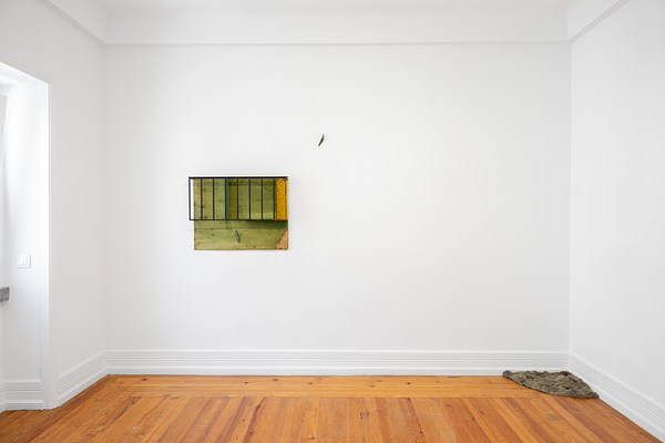 Image 3 of 15
