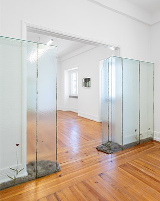 Image 4 of 15