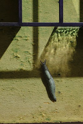Image 15 of 15