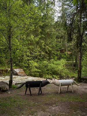 Image 2 of 161