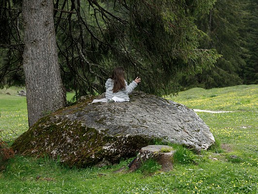 Image 4 of 161