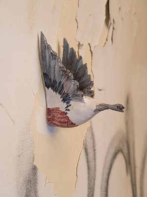 Image 17 of 161