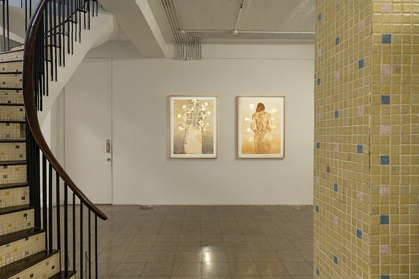 Image 2 of 8