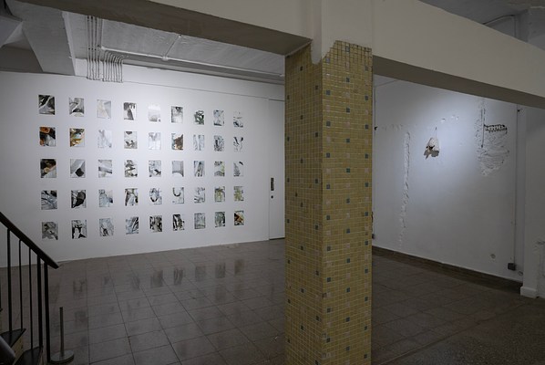 Image 3 of 74