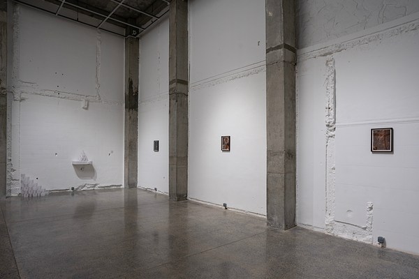 Image 7 of 74