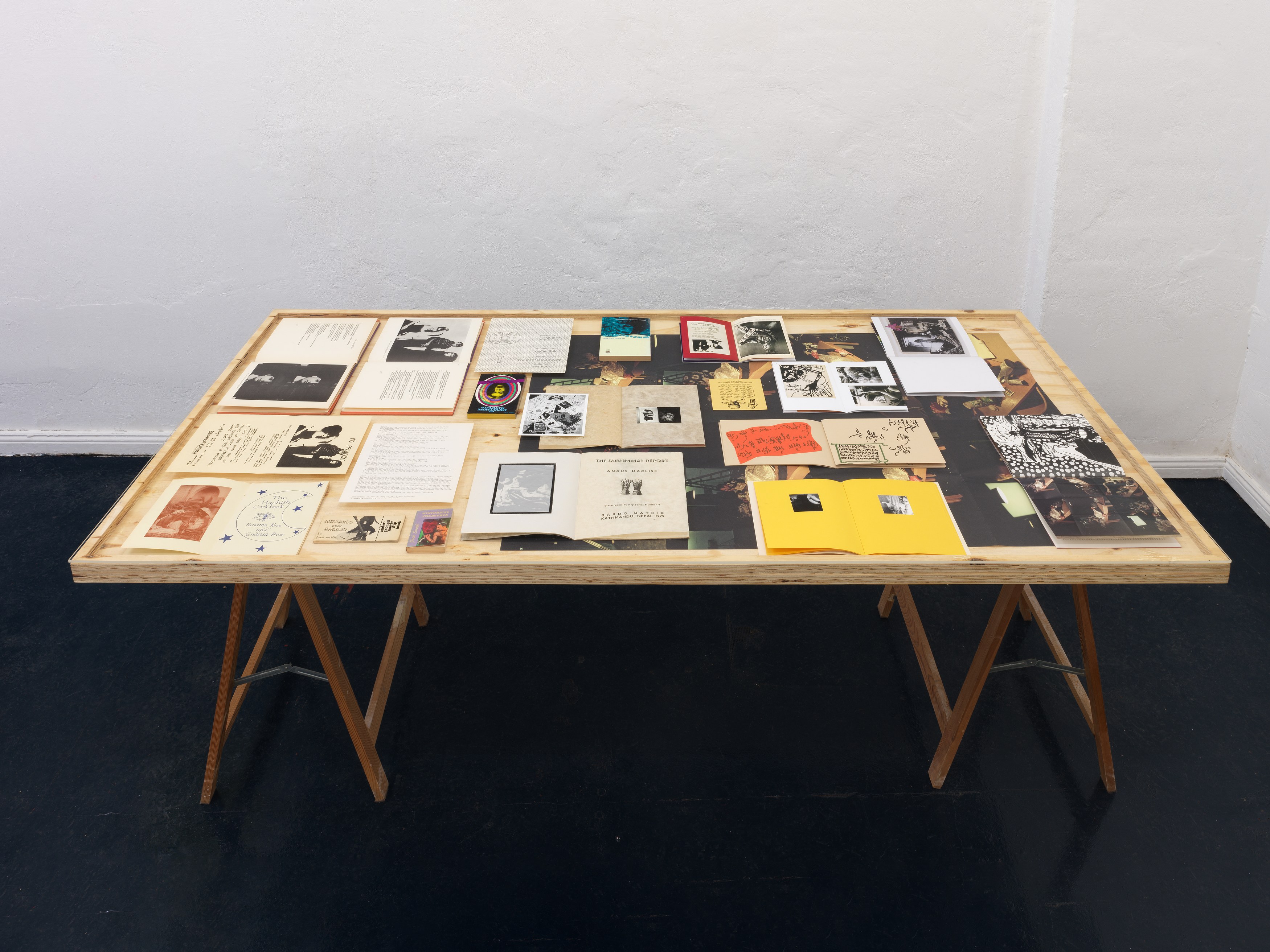 Piero Heliczer, Explicit Aquarium & Heart at Scheusal, photo 13
