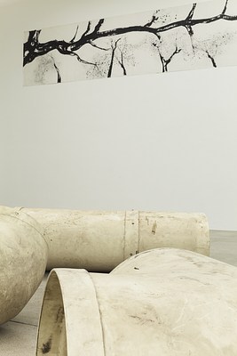 Image 7 of 9