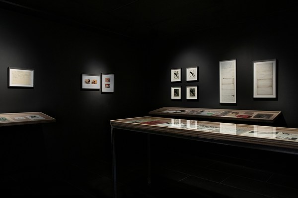 Image 6 of 71