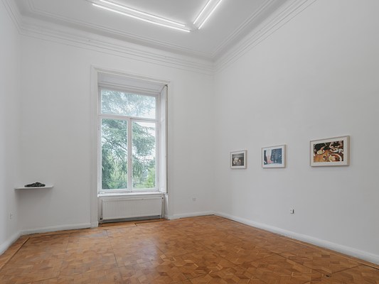 Image 4 of 13
