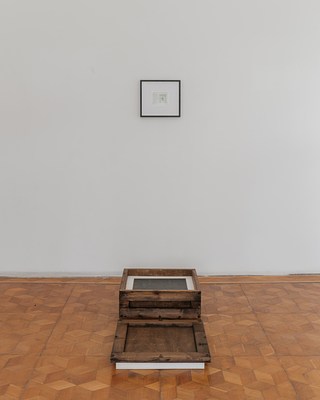 Image 5 of 13