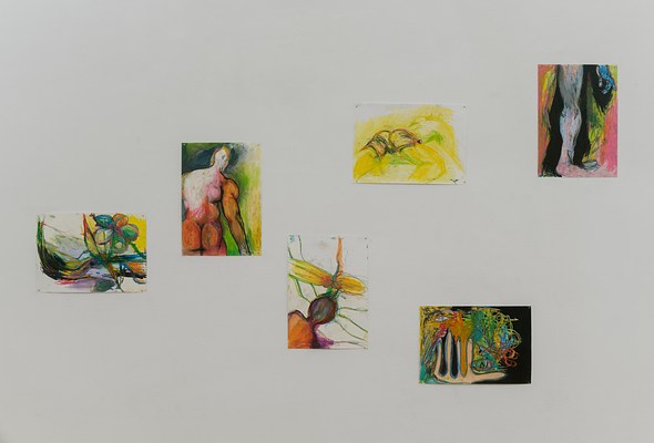 Image 6 of 13
