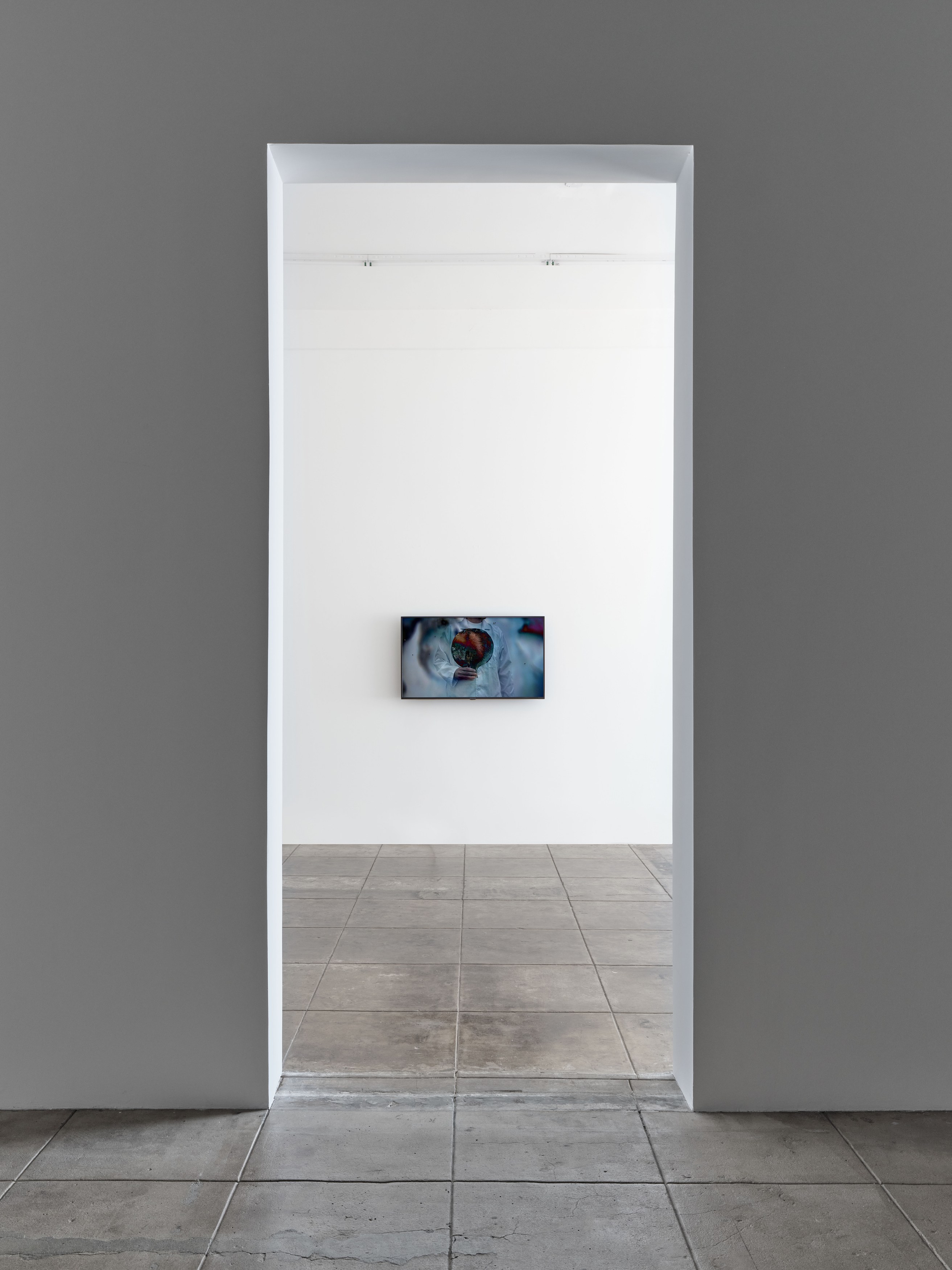 Erika Vogt, Image Blockers at Overduin and Kite, photo 15