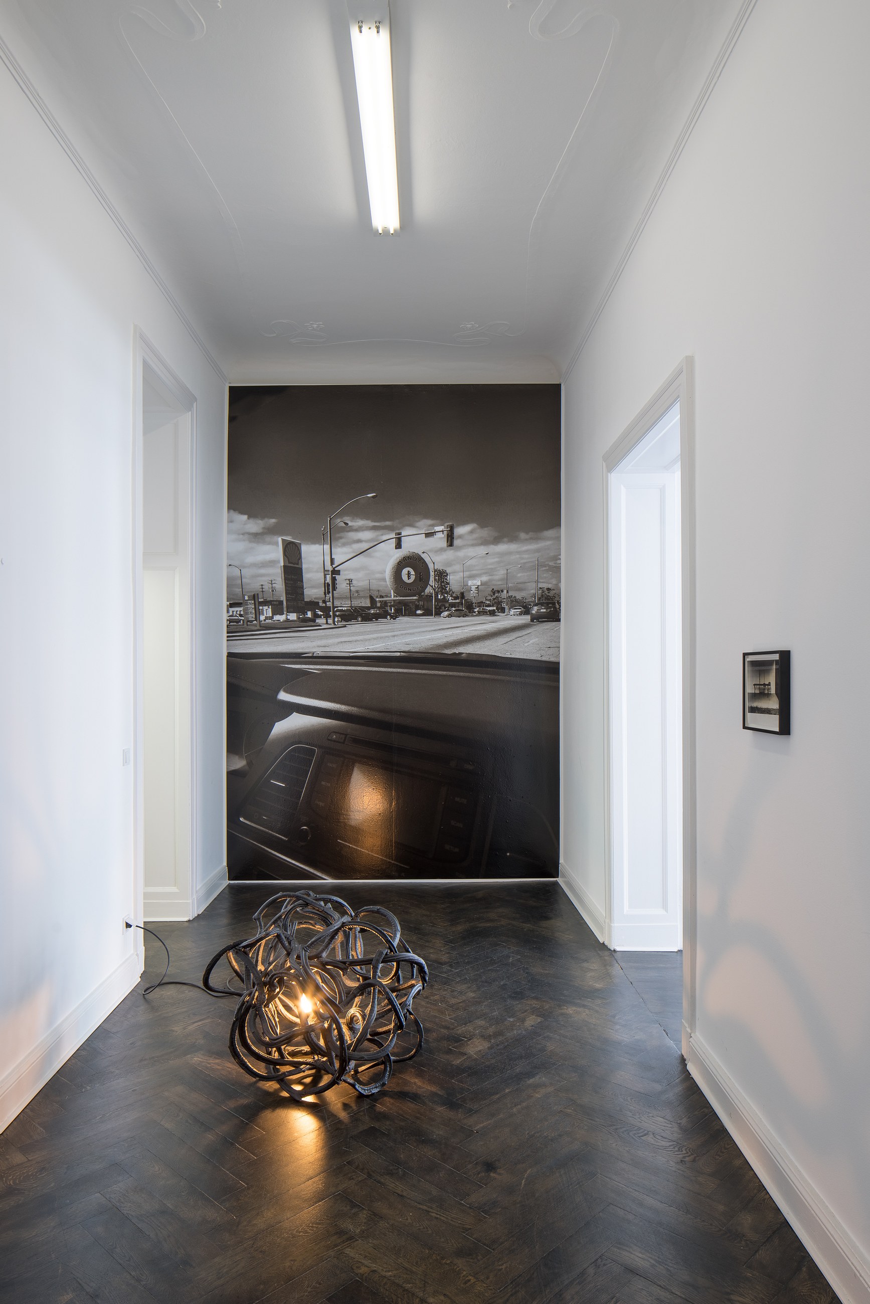 Lutz Bacher, Divine Transportation at Galerie Buchholz, Berlin, photo 8