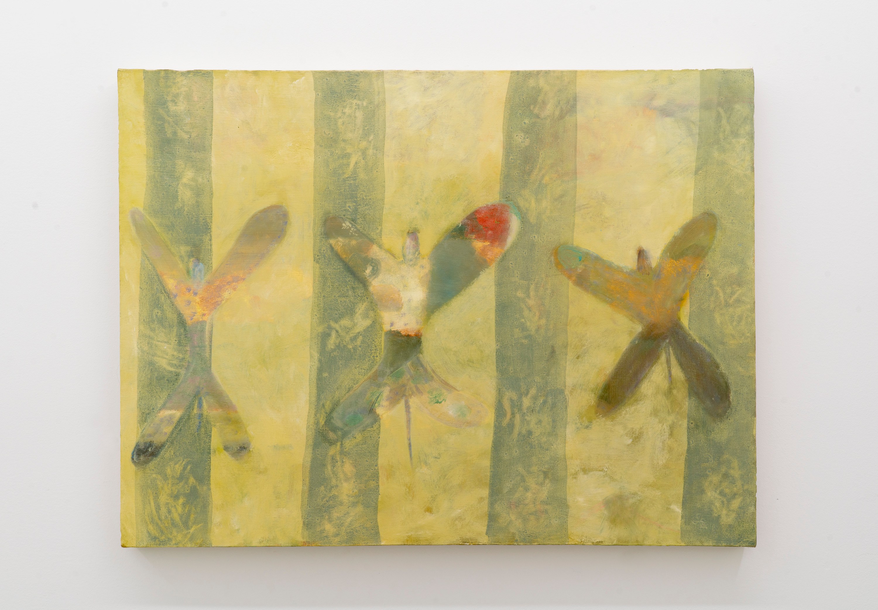 Nadair Asghari, On a Glass Pillow at Gern en Regalia, photo 28