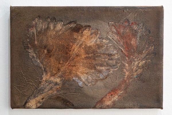 Image 7 of 17
