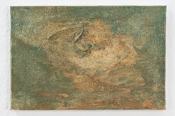 Image 9 of 17