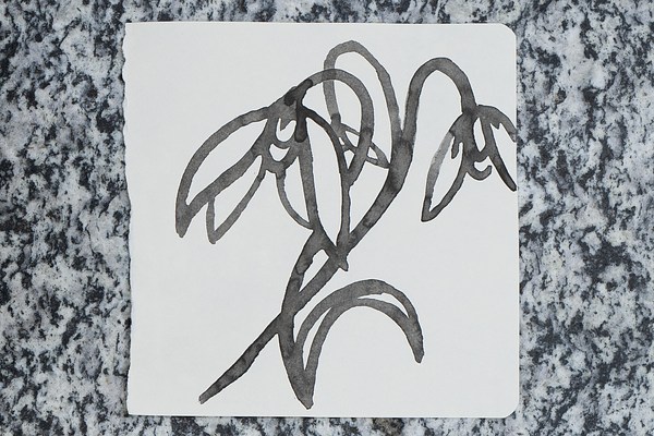 Image 17 of 17