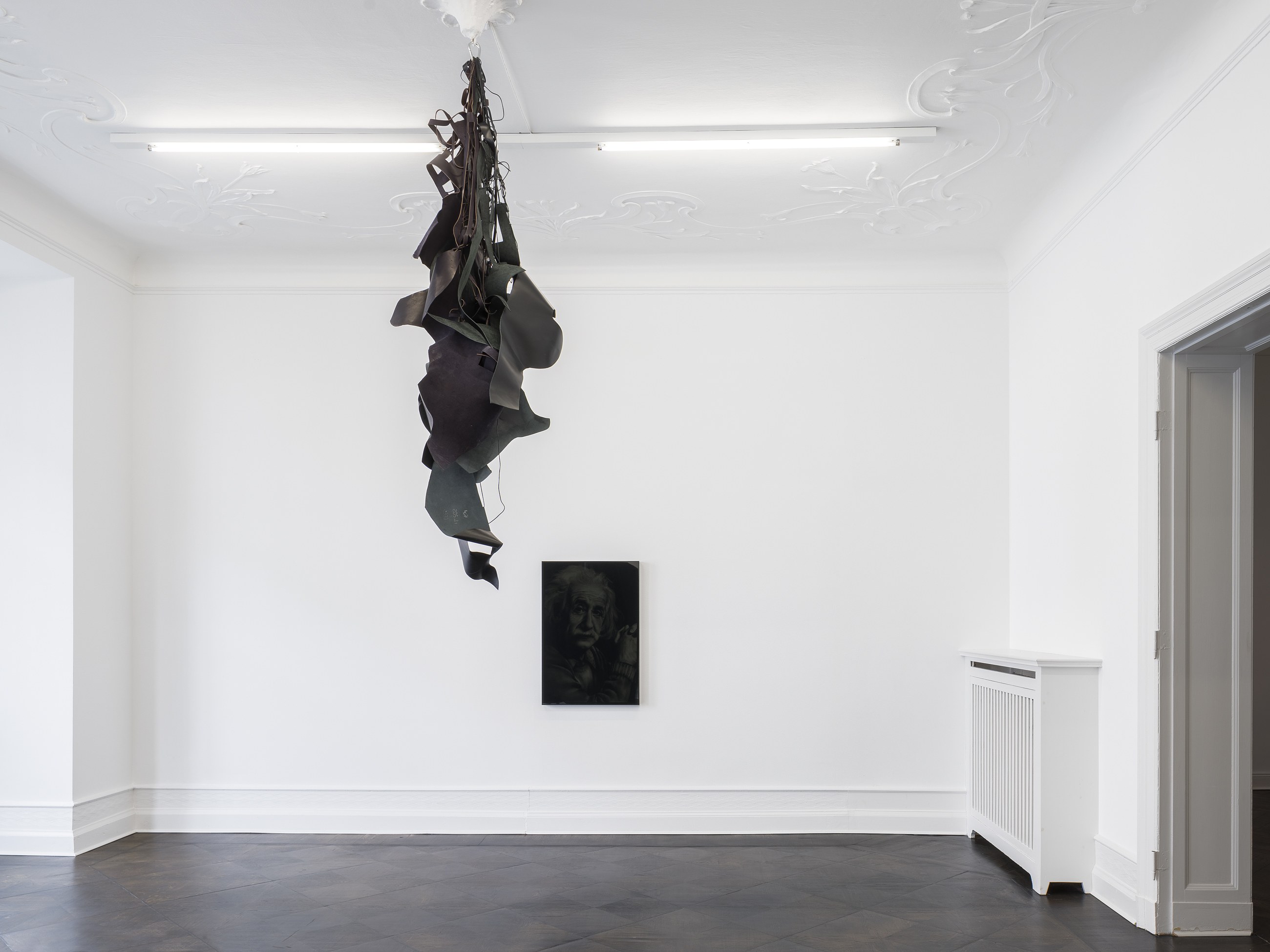Lutz Bacher, Divine Transportation at Galerie Buchholz, Berlin, photo 2