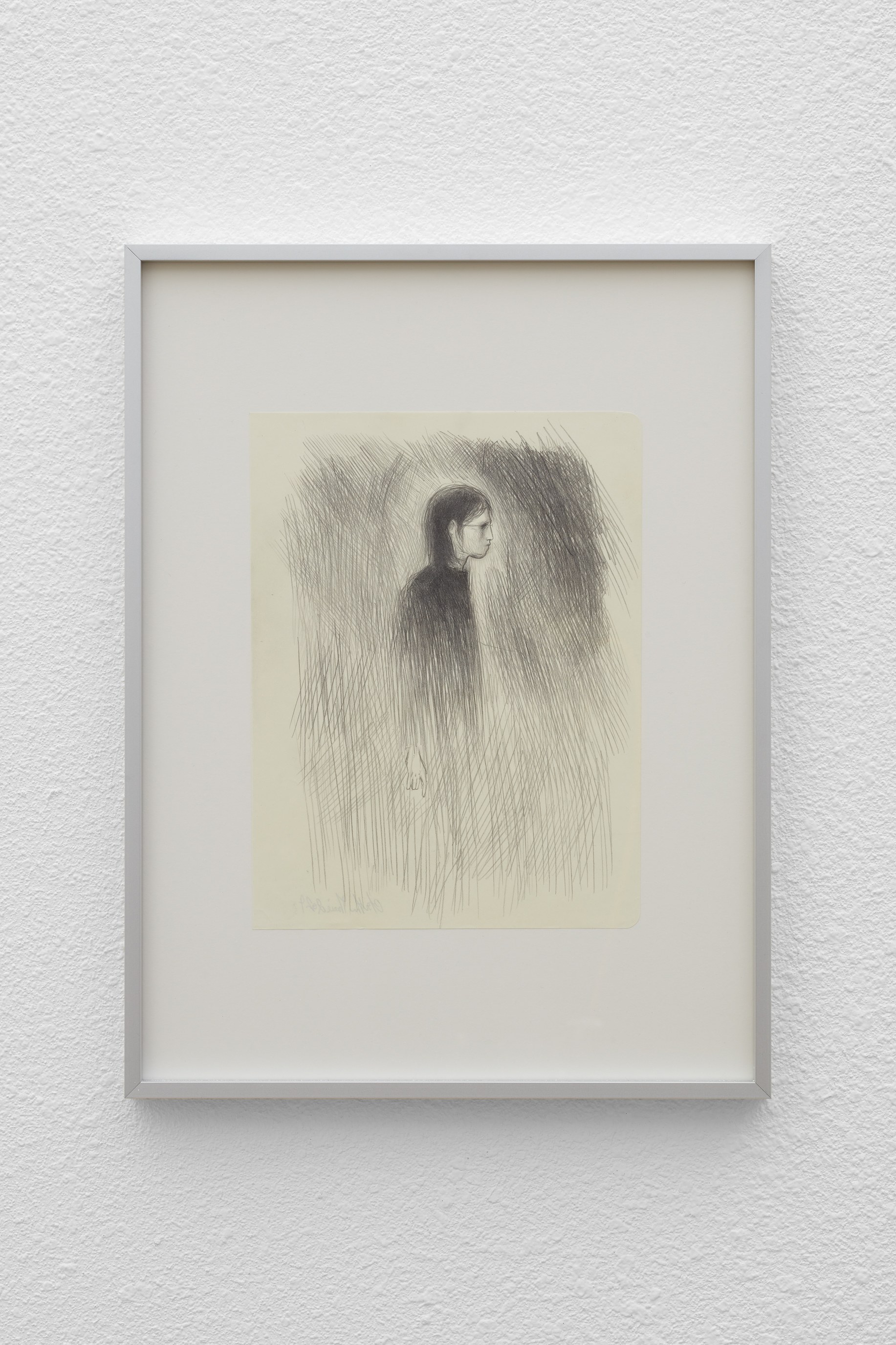 Display, Display at Ehrlich Steinberg, photo 8