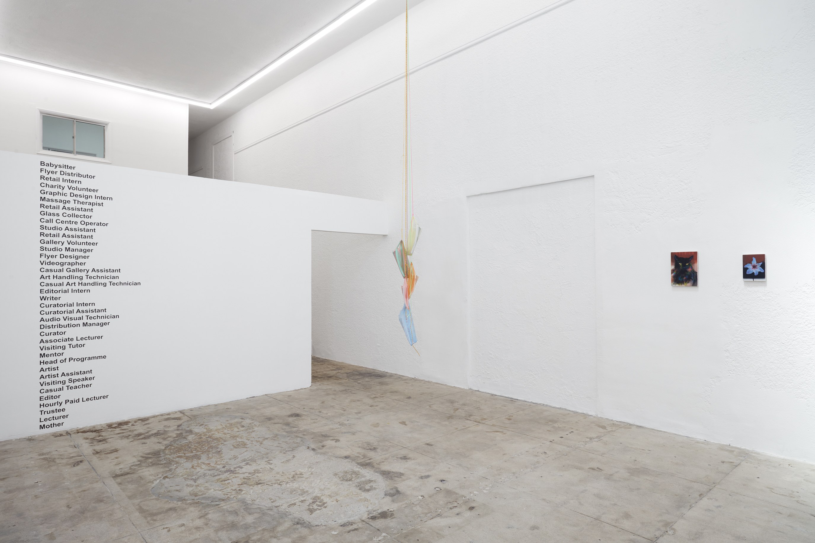 Display, Display at Ehrlich Steinberg, photo 15
