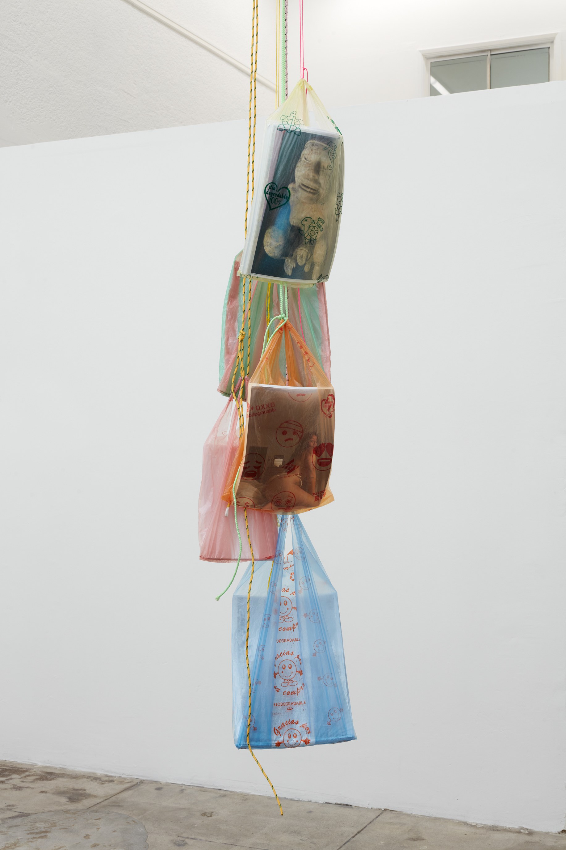 Display, Display at Ehrlich Steinberg, photo 17