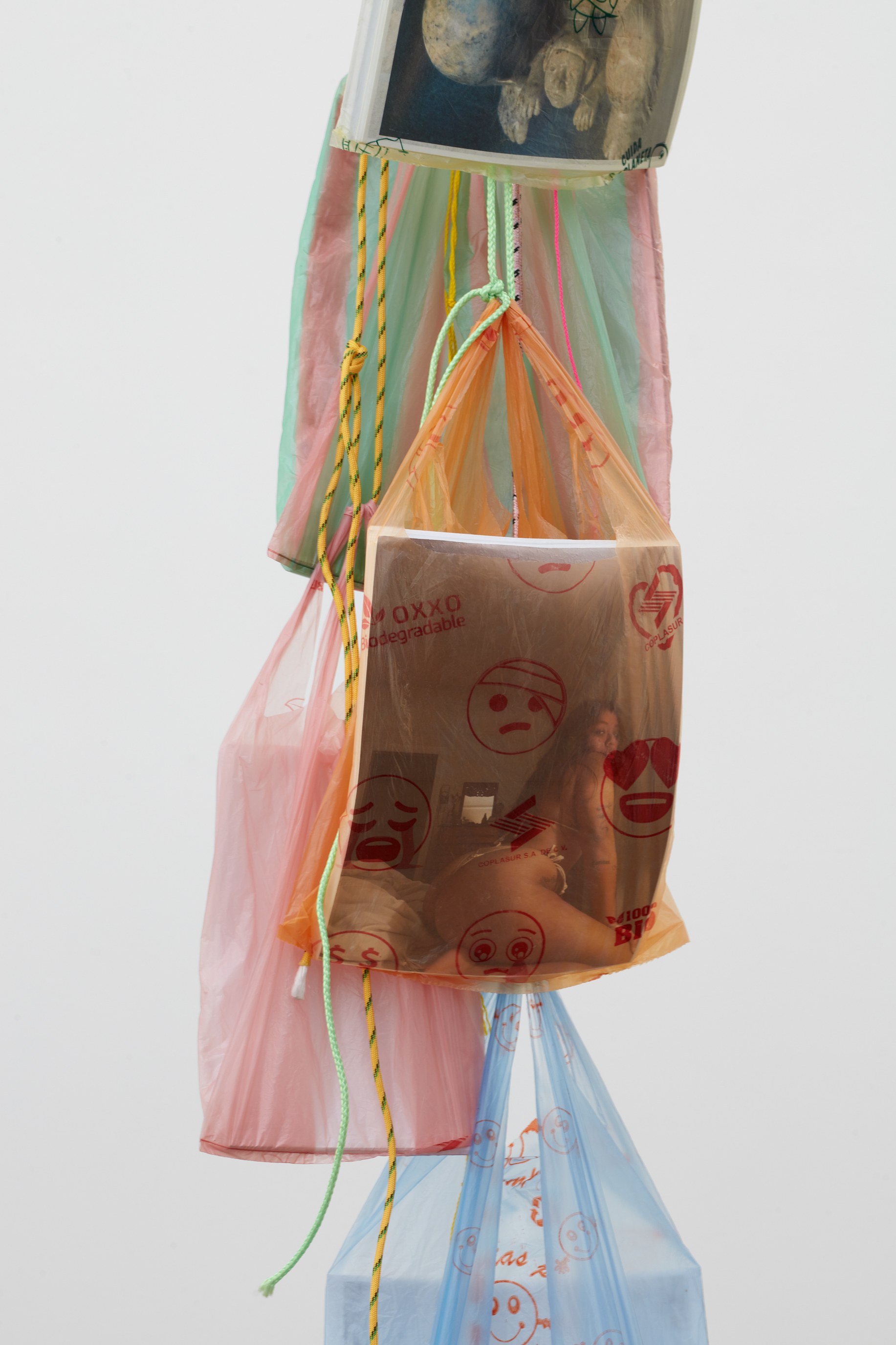 Display, Display at Ehrlich Steinberg, photo 19