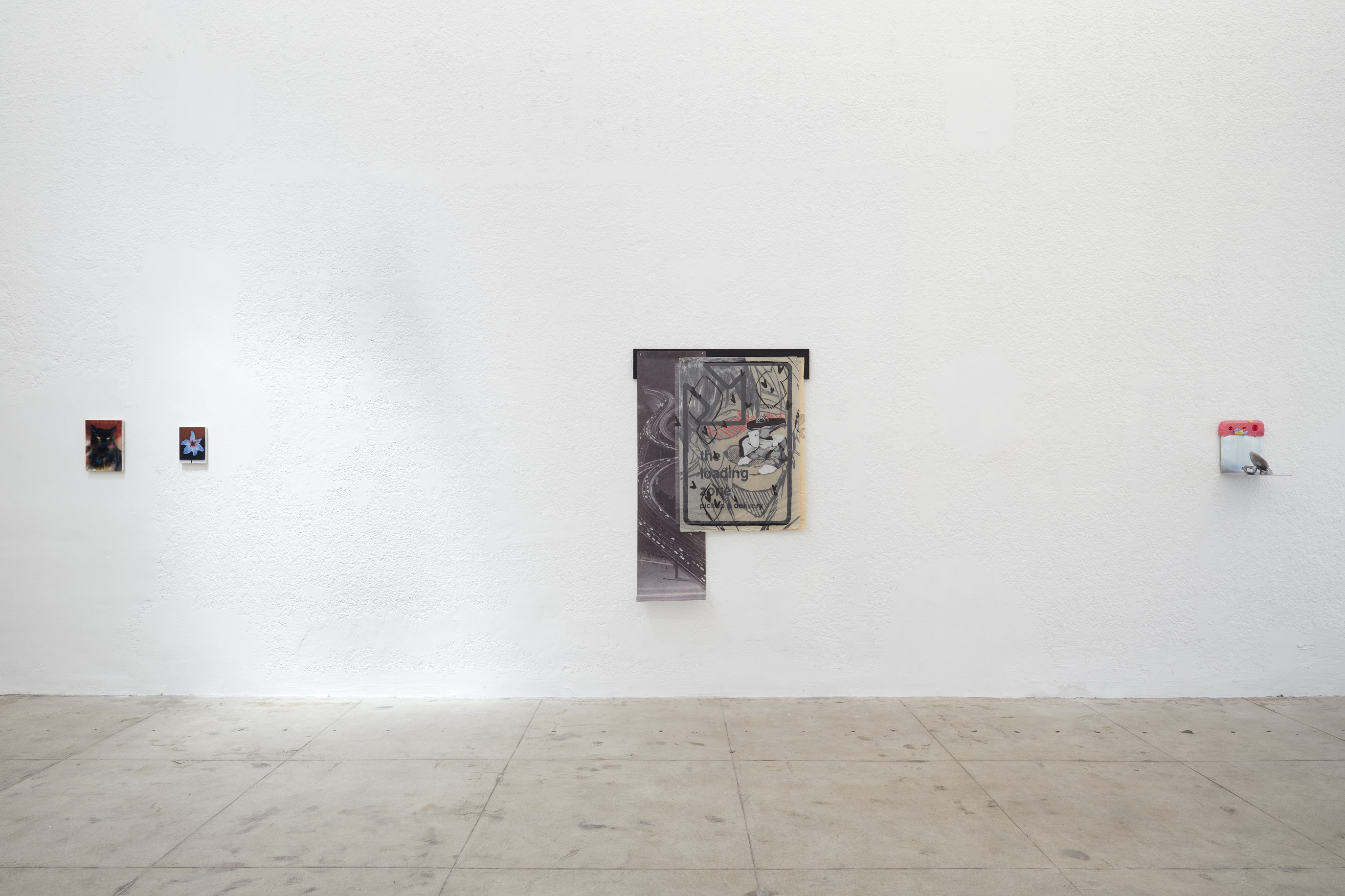 Display, Display at Ehrlich Steinberg, photo 20