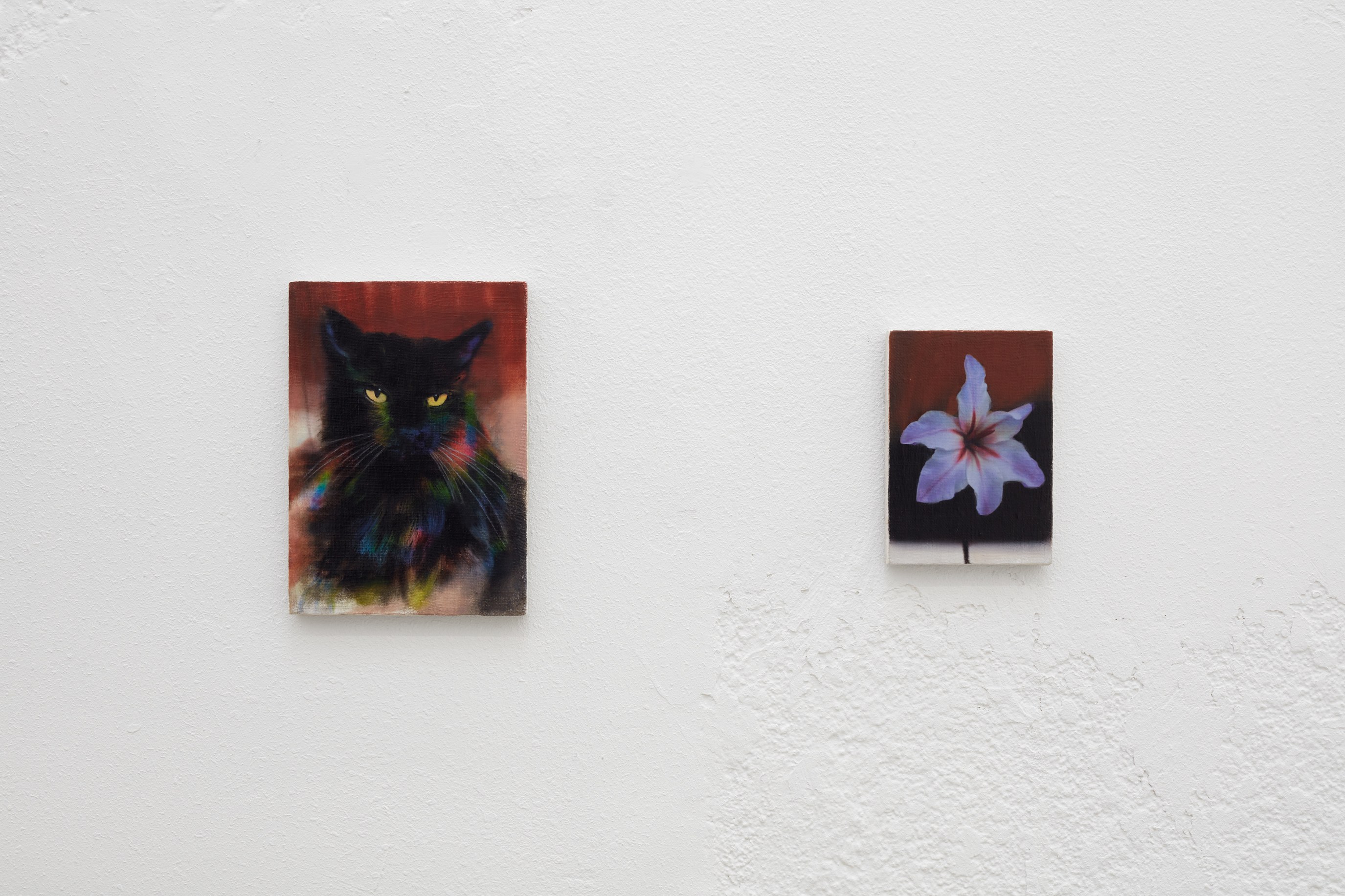 Display, Display at Ehrlich Steinberg, photo 21