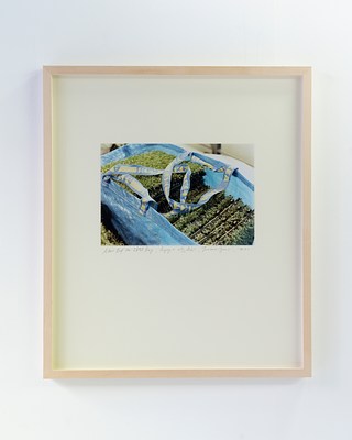 Image 7 of 14