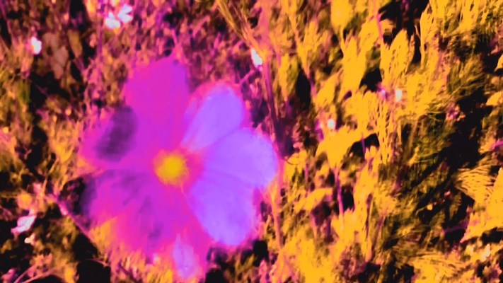 Image 13 of 15