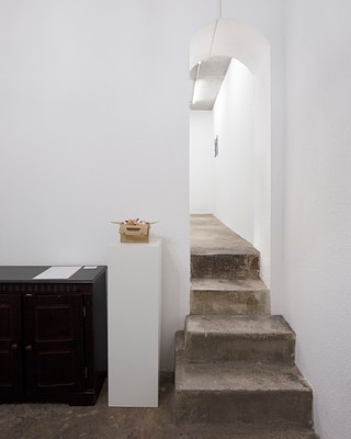 Image 5 of 19