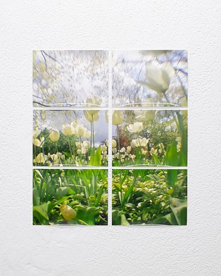 Image 15 of 19