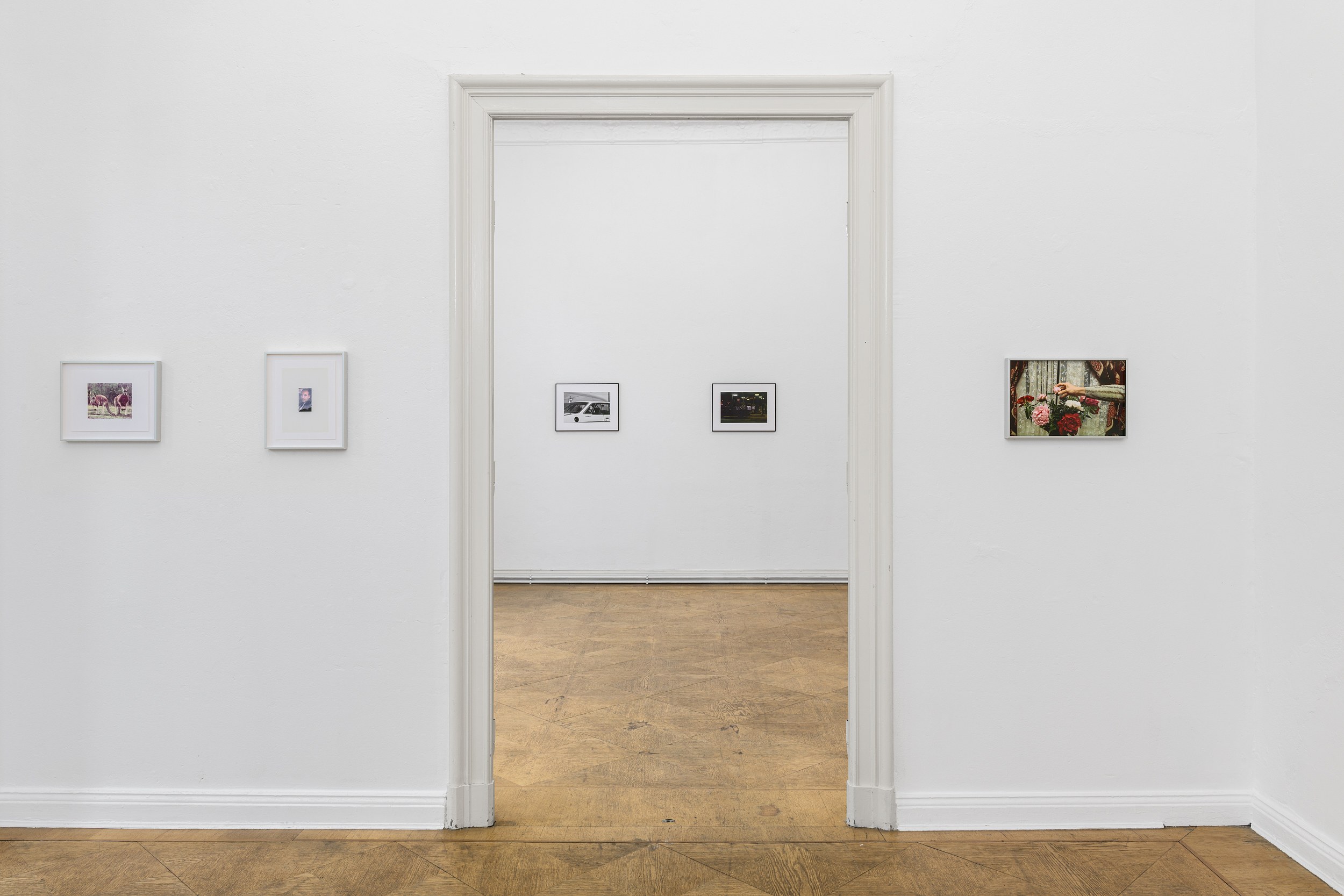 Lucien Samaha, The Price of Gas & First Digitals at Schiefe Zähne, photo 22