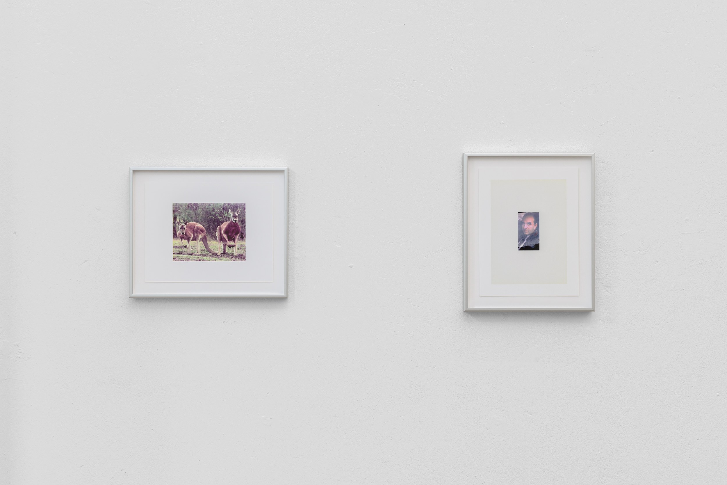 Lucien Samaha, The Price of Gas & First Digitals at Schiefe Zähne, photo 23