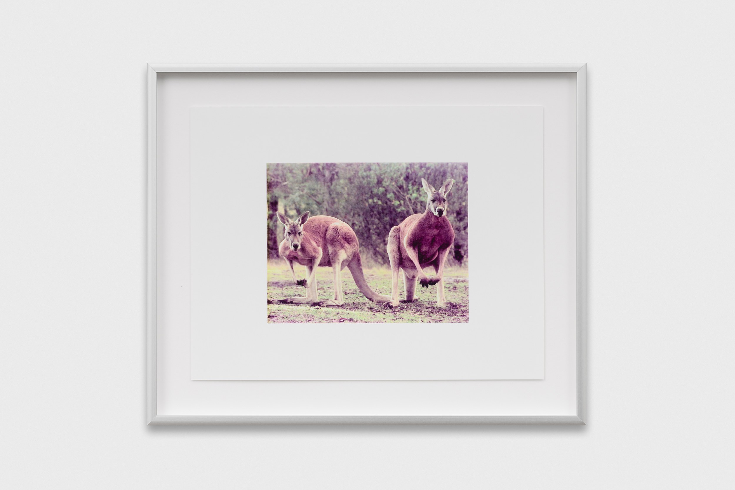 Lucien Samaha, The Price of Gas & First Digitals at Schiefe Zähne, photo 28