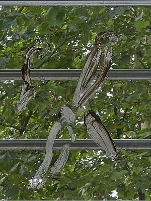Image 2 of 29