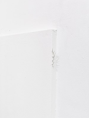 Image 11 of 29
