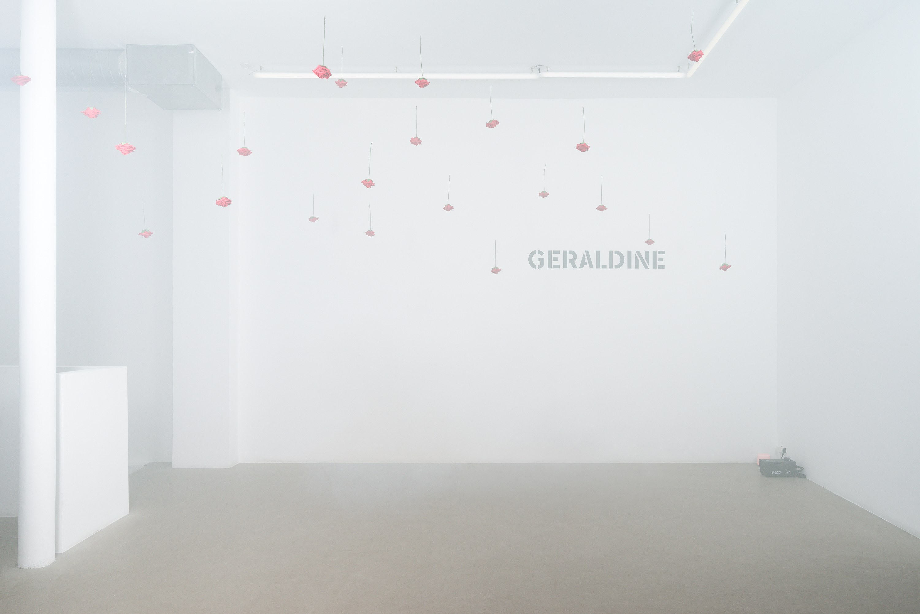 Puppies Puppies (Jade Guanaro Kuriki-Olivo), Trigger Warning at Galerie Balice Hertling, photo 7